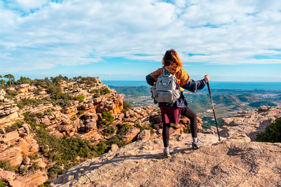 Colaboramos con otras empresas especializadas | Este autobús pierde aceite